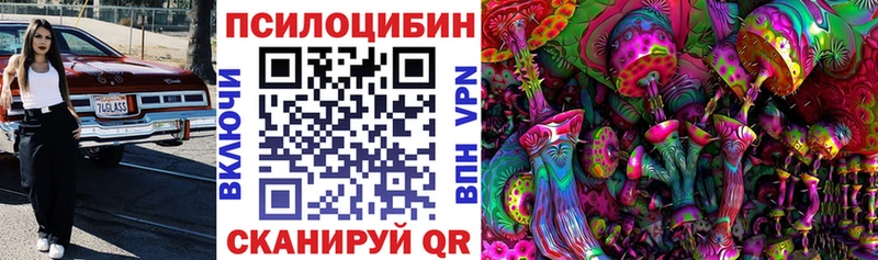 как найти закладки  Горняк  Псилоцибиновые грибы мухоморы 